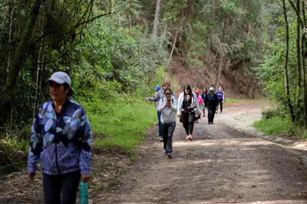 Grupo caminando por un sendero boscoso en Bogotá